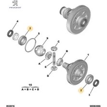 Diferansiyel Rulmanı   PRT-207 Peugeot  3125.18