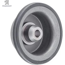 Otomatik Şanzıman Yay Pistonu Peugeot  2319.13