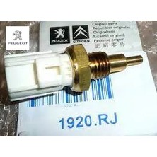 Hararet Müşürü Peugeot 1920.RJ