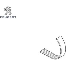 Alternatör Kayışı 6 Pk 1700  306-405 Xu Peugeot  5750.VY