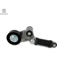 Alternatör Gergi Rulmanı  206 Peugeot  5751.52