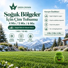 Soğuk Bölgeler için Çim Tohumu - 1 Kilo