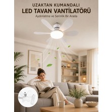 Pileli Store Yüksek Aydınlatma Performansına Sahip LED Tavan Fanı Sessiz Çalışma Güçlü Esinti ve Uzaktan Kumanda Kontrolü