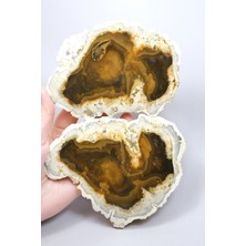 Healcrystal Nadir Kahverengi Dendritik Opal Çifti, Koyu Dallı Dendritik Içermelerle, 797G