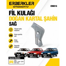 ERBERKLER Fil Kulağı Doğan Kartal Şahin Sağ