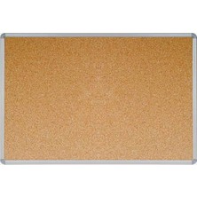 Inter Mantar Pano Alüminyum Çerçeve 50X70 516 T2063