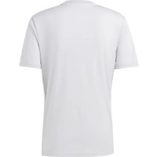 Adidas IA9143 Tabela Tshirt Gri