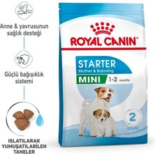 Mini Starter Anne ve Yavru Köpek Maması 4 kg 04/2024