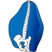 Ofis Koltuğu ve Araba Için Bel Destek Yastığı, 3D Yıkanabilir Kılıflı Ergonomik Sırt Destekli Hafızalı Köpük Sırt Yastığı, Araba Kullanma, Oyun Oynama