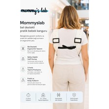 Bebek Ergonomik Pratik Kanguru Taşıyıcı, Ayarlanabilir Sırt Destekli, 0-36 Ay, Pembe Kirpi