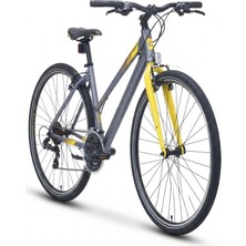 Carraro Sportive 322 V Fren 21 Vites 28 Jant Şehir Bisikleti Mat Antsarit Sarı 48 Kadro