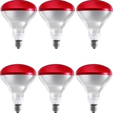 (6 Adet) 150W Kızılötesi Isıtıcılı Hayvan Isıtma ve Kuluçka Lambası (Kırmızı Işık) E27 (Kalın Duy) ( Lisinya )