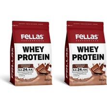Ayrex Performance Çikolata Aromalı Whey Protein 525G 2`li Paket