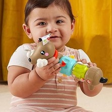 Köpekçikle Eğlenceli Aktiviteler Bebeklerin Duyularını ve Ince Motor Becerilerini Geliştirmeye Yardımcı Fisher-Price Fp Pets Hareketli Köpekçik HTW91