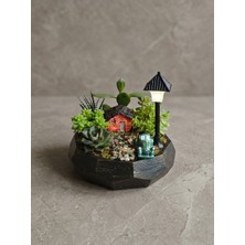Işıklı Sokak Lambalı Mini Hobi Bahçesi Teraryum