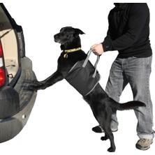 ModaCar Araç Arkası Köpek Koyma Aparatı 424691