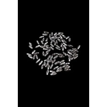 Ayrex Serhat Aksesuar ve El Işçilik 14X5 mm Metalik Gri Arpa Takı Malzemesi Boncuk (30 gr 170 Ad