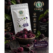 Ceres Freeze Dried Böğürtlen 2 x 20 gr