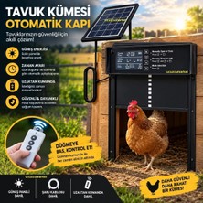 Kümes Kapısı Güneş Enerjili (Şarjlı) Programlanabilir Dijital Ekran-Sıkışma Önleyici