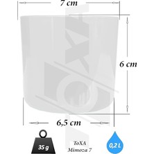 2 Adet Mimoza Saksı Küçük Boy Plastik Kaktüs Sukulent Saksısı (Beyaz, 0.2 Litre)