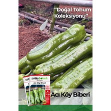Patika Botanik 80 Adet Ata Tohumu Acı Köy Biberi