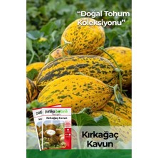Patika Botanik 30 Adet Kırkağaç Kavun Tohumu