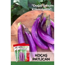 Patika Botanik 40 Adet Ata Tohumu Koçaş Patlıcan