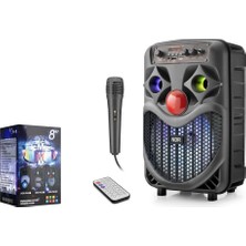 Ndr NDRP66 Karaoke Mikrofonlu Bluetooth Hoparlör Fm Radyo 10W 8 Inç Rgb Siyah