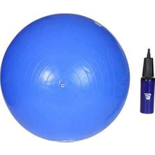 Ayrex 65CM Pilates Topu Pompa Hediyeli Asorti Fitness Pilates Spor