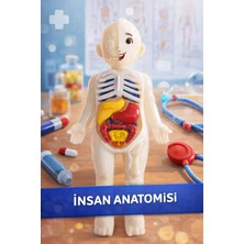 Hayal Bahçesi Insan Vücudu Anatomisi Organ Bulmaca Çocuk Gelişimi 20 cm