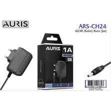 Auris CH24 6230 (Kalın) Kutu Şarj