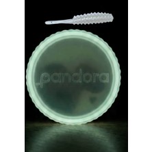 Pandora Nami Sızdırmaz Kutu Lrf Silikon White Silver (15 Pcs)