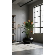 Gravel Saksı 50X40X30 cm Siyah Fiberglass Bohem Tarzı El Yapımı Canlı Bitki Uyumlu