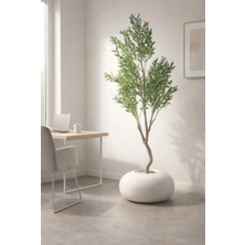 Graverl Saksı 50X40X30 cm Beyaz Polyester Fiberglass Ctp Amorf Dekoratif Saksı