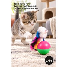 Yenilig 4 Adet Kedi Hacı Yatmaz Oyunu – Renkli Tüylü Fare Oyuncak, Kedi Oyuncağı ve Oyun Arkadaşı, Cat Toy