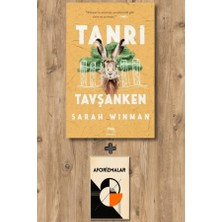 Yabancı Yayınları Tanrı Tavşanken (Ciltli) + Aforizmalar