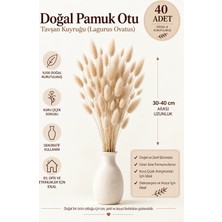 Rosess Pamuk Otu Tavşan Kuyruğu Lagurus Ovatus Doğal Kurutulmuş Dekoratif Kuru Çiçek Demeti (40 Adet)