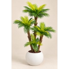Erhan Flowers 160 cm Palmiye Arekası Beyaz Küre Saksıda