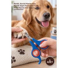 Yenilig 5 Adet Kedi Köpek Tırnak Makası – Renkli, Kavisli Kesim Uçlu, Plastik Saplı Paslanmaz Çelik, Evcil Hayvan Nail Clipper