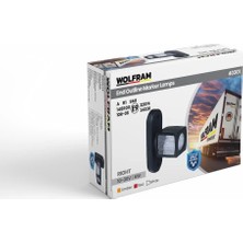 Dorse Boynuz Lamba Kısa Desenli Sağ E Belgeli - Wolfram 40301