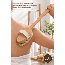 Yenilig 10 Adet Organik At Kılı Banyo Fırçası – Doğal Ahşap Saplı Vücut Fırçası Kuru Masaj Exfoliating Body Brush Horsehair