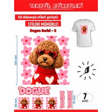 Agg Reklam Ütü ile Yapışan Kıyafet Etiketi Dogue Serisi-2  7li Set