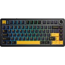 F75 Mekanik Rgb Tkl Reaper Switch Kablosuz Makrolu Hot Swap Klavye Siyah