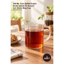 Yenilig 3 Adet Cam Kupa – 200 ml Cam Şeffaf Kulplu Sıcak Içecek ve Sunum Için Glass Mug Cup
