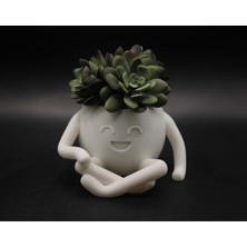 Relaxing Pot - Mini Succulent Planter Mini Sukulent ve Kaktüs Saksısı - Sevimli Masaüstü Dekoratif Saksı - Modern Ev ve Ofis Hediyesi
