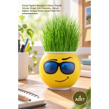 Yenilig 4 Adet Cim Adam Saksı – Emoji Figürlü Masaüstü Dekor, Plastik Gövde, Doğal Çim Tohumlu, Çocuk Eğitici, Hediye Grass Head Plant Pot