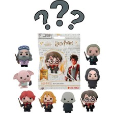 Cool Things Harry Potter Wizard Buddies 3D Sürpriz Figür Paketi