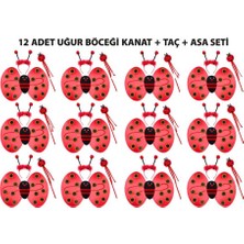 Birsence Uğur Böceği Kostüm Seti - Kanat Taç Asa 3 Parça 12 Adet
