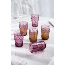 Birsence Akrilik Mürdüm 6'lı Kısa Bardak & Su Meşrubat Kahve Yanı Bardağı 400 ml ( Cam Değildir )