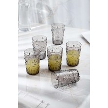 Birsence Akrilik Füme 6'lı Kısa Bardak & Su Meşrubat Kahve Yanı Bardağı 400 ml ( Cam Değildir )